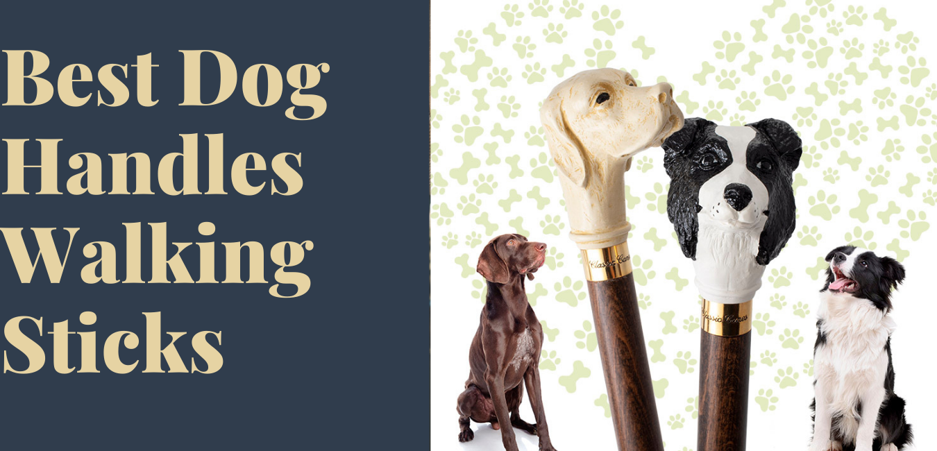 Best Dog Handles Walking Sticks