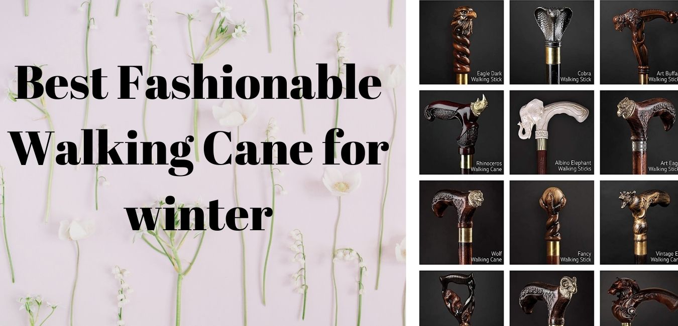 Best Fashionable Walking Cane for winter