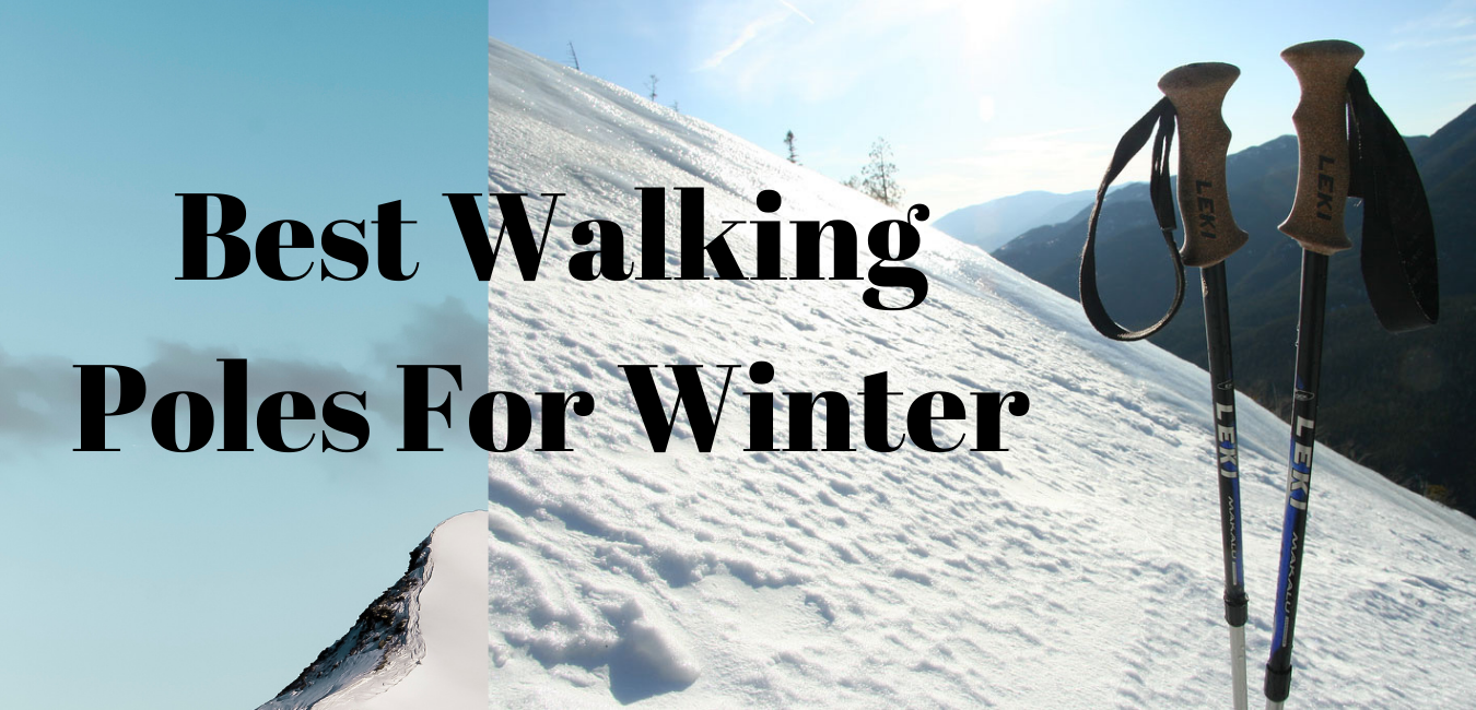 Best Walking Poles For Winter