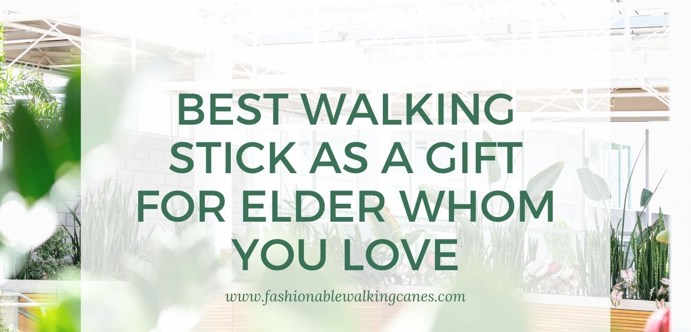 Best Walking Stick as a Gift for Elder Whom You Love
