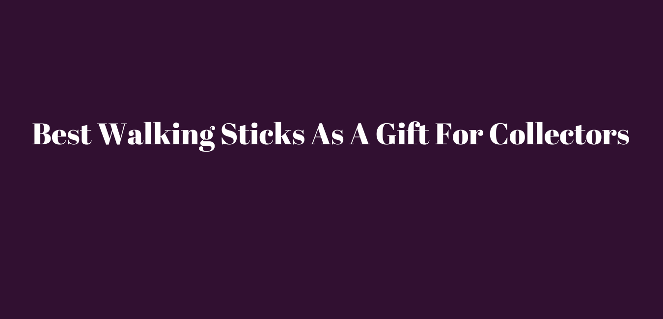 Best Walking Sticks As A Gift For Collectors