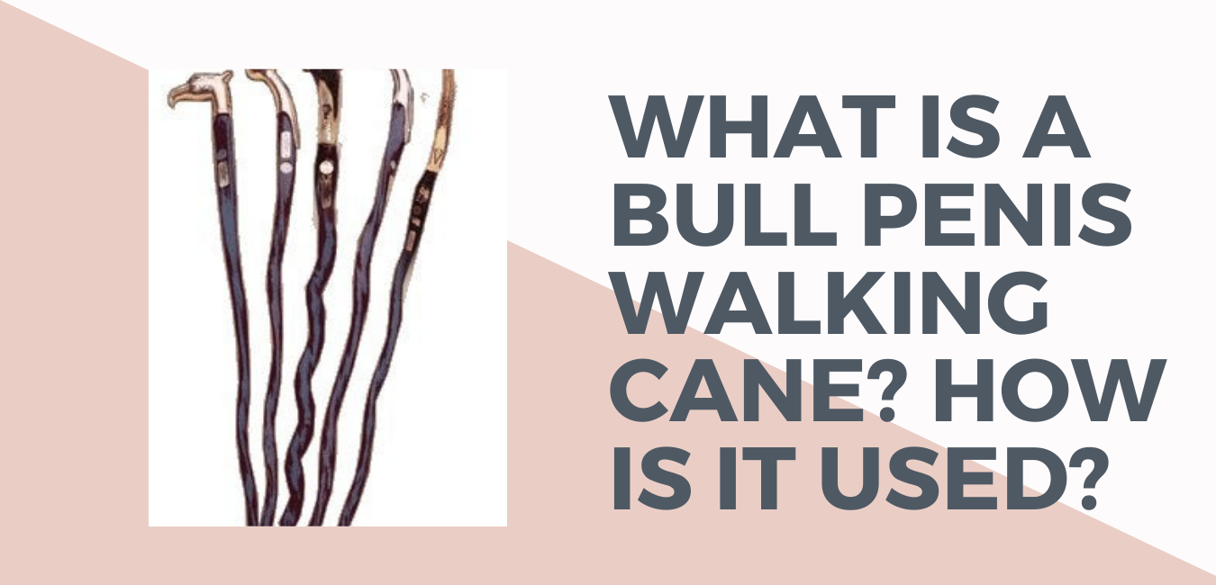 What Is A Bull Penis Walking Cane? How Is It Used?