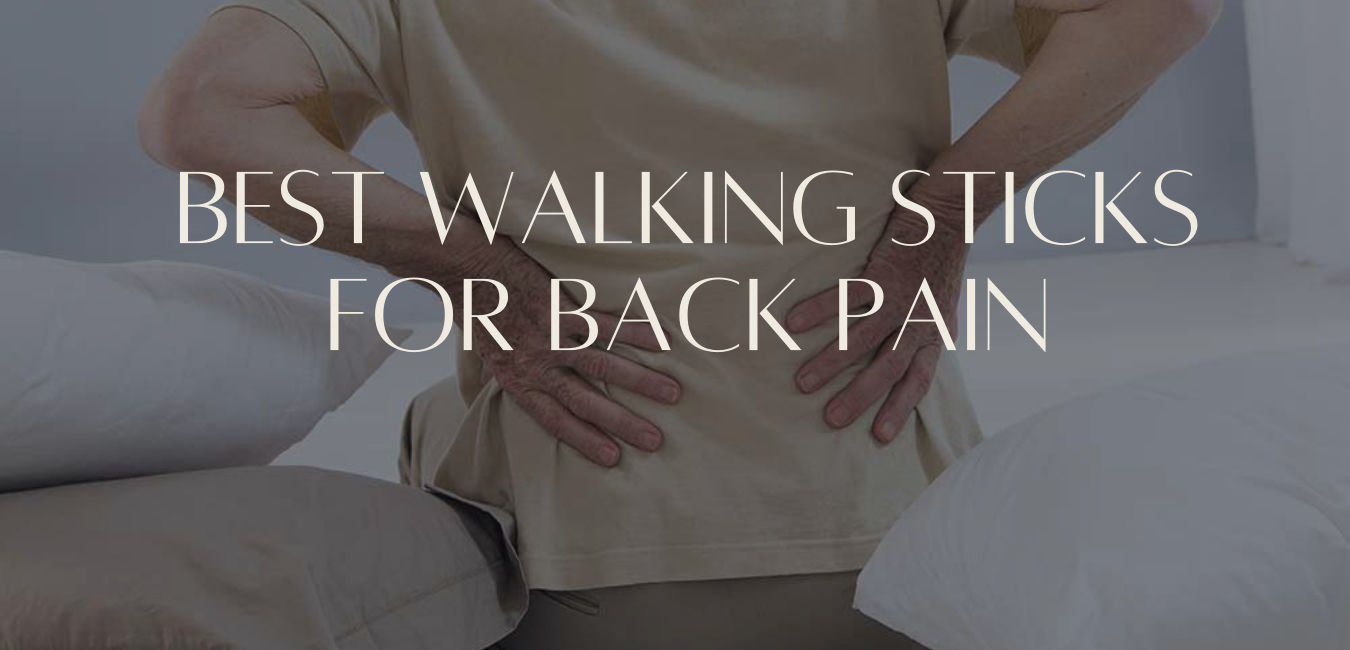Best Walking Sticks For Back Pain